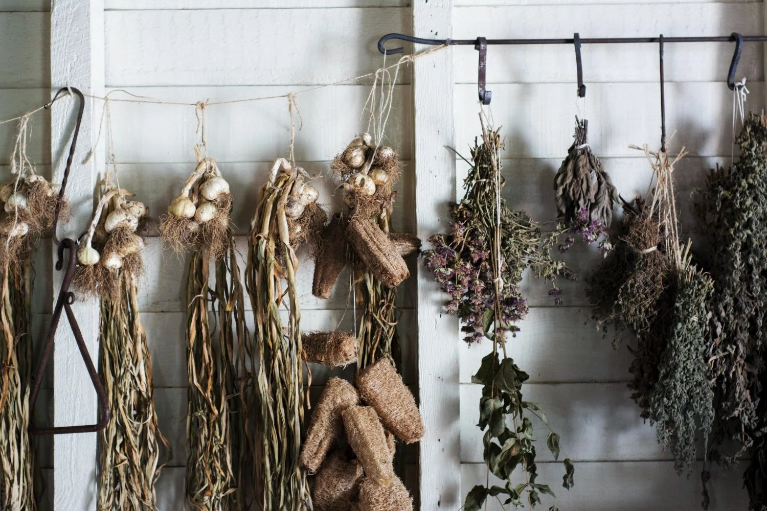 Custom Herbal Blend | 500ml — Green Door Health apothecary