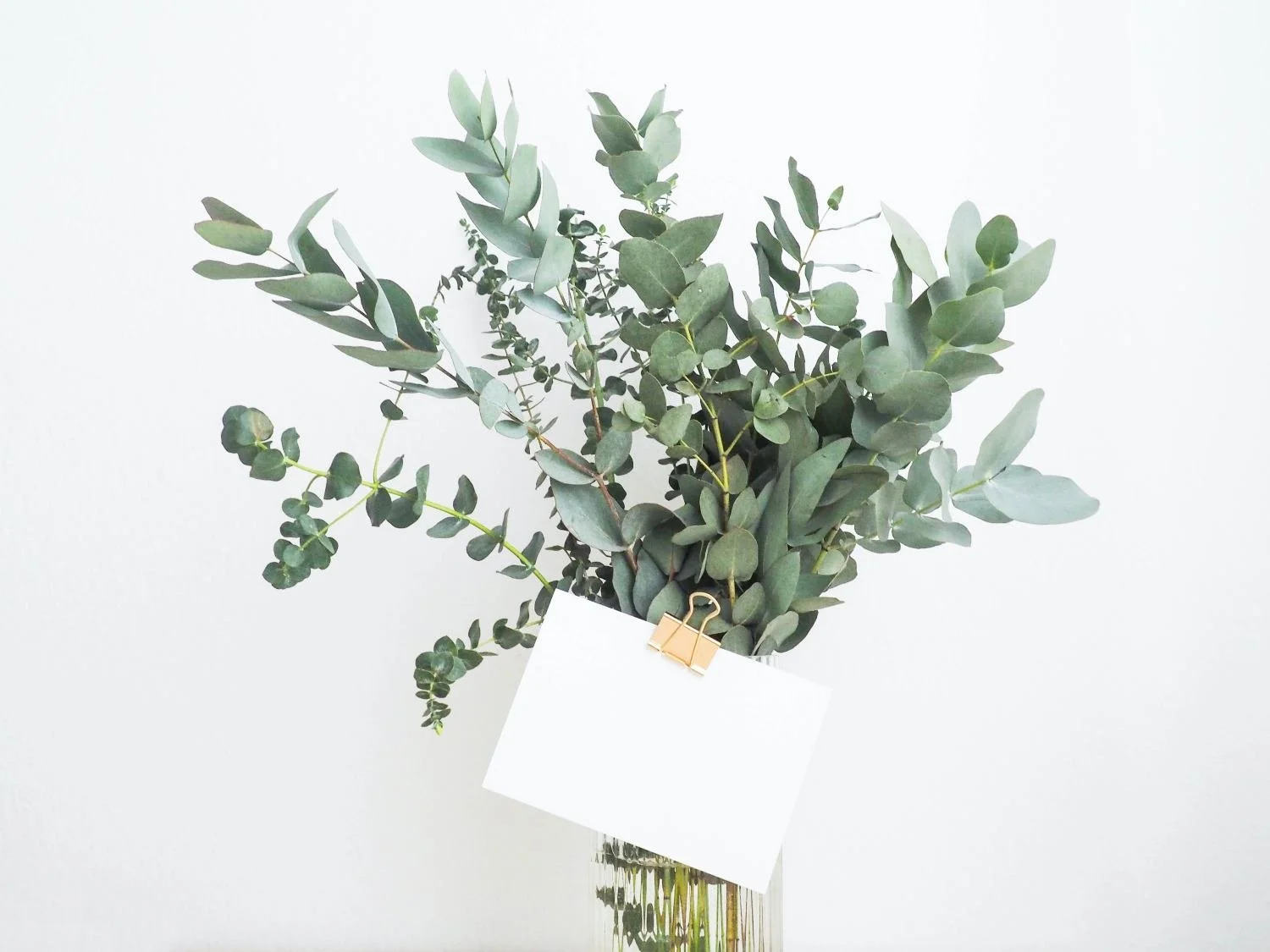 Gift Voucher — Green Door Health apothecary